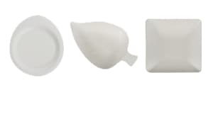 Assiettes & bols en canne à sucre