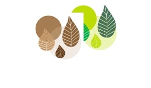 Graphic Leaves