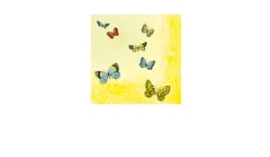 Papillons