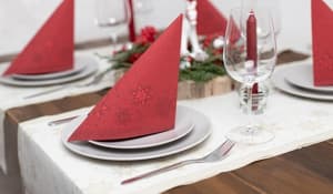 Décorations de Noël & accessoires