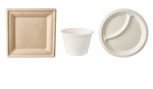Assiettes & bols en canne à sucre