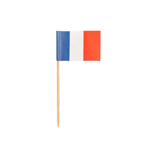 Piques décoratives 8 cm "France" 1