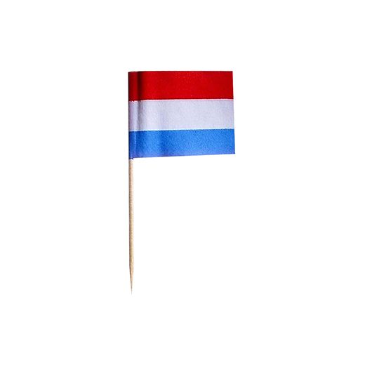 Piques décoratives 8 cm "Netherlands" 1