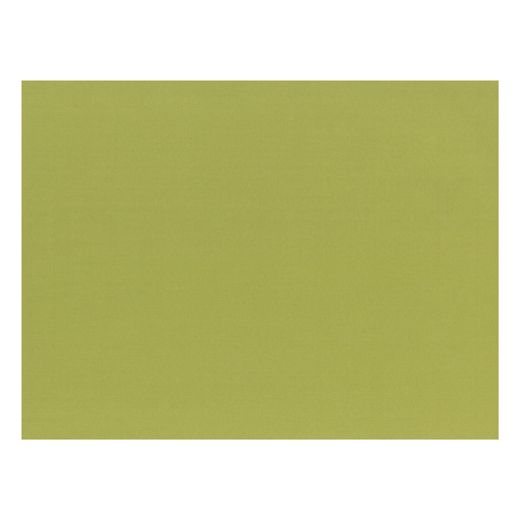 Sets de table, papier 30 cm x 40 cm vert olive 1