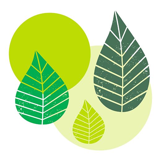 Serviettes, 3 plis pliage 1/4 40 cm x 40 cm vert "Graphic Leaves" 1