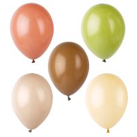 Ballons Ø 25 cm couleurs assorties "Natural"