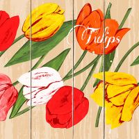 Serviettes, 3 plis pliage 1/4 33 cm x 33 cm "Blooming Tulips"