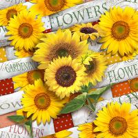 Serviettes, 3 couches pliage 1/4 33 cm x 33 cm "Sunflower Field"