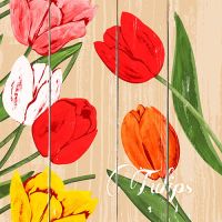Serviettes, 3 plis pliage 1/4 40 cm x 40 cm "Blooming Tulips"