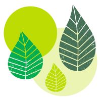 Serviettes, 3 plis pliage 1/4 40 cm x 40 cm vert "Graphic Leaves"