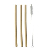 Pailles en bambou "pure" 23 cm brosse de nettoyage incluse