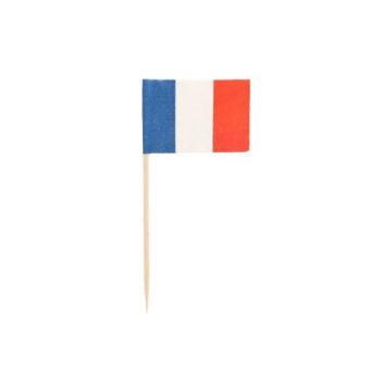 Piques décoratives 8 cm "France"