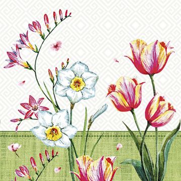 Serviettes, 3 plis pliage 1/4 33 cm x 33 cm "Florentina"